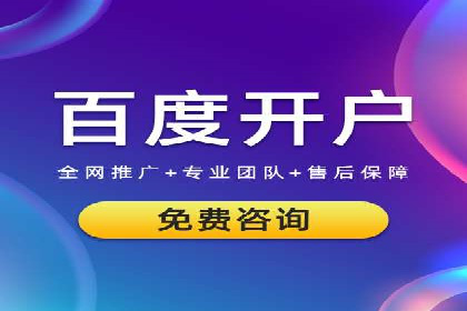 某品牌SEM推广策略的成效与启示